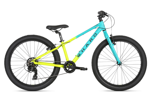 Haro Flightline 20" Plus