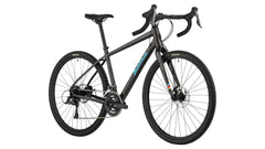 Salsa Journeyer Claris 650b